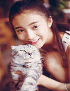 shino-se54se.com